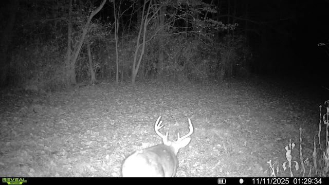 1 Tallent Road, Pulaski, TN 38478