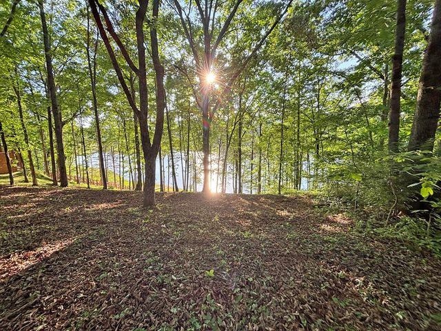Lot 5 Walnut Drive, Blairsville, GA 30512