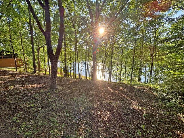 Lot 5 Walnut Drive, Blairsville, GA 30512