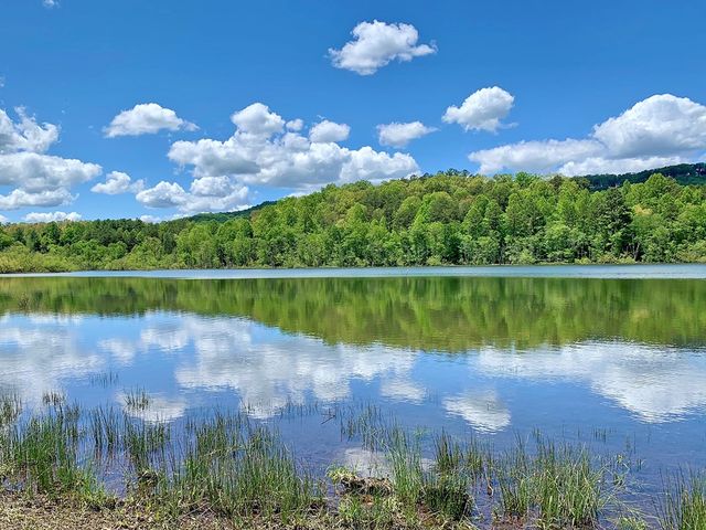 Lot 5 Walnut Drive, Blairsville, GA 30512