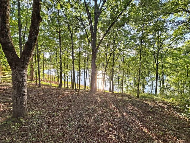 Lot 5 Walnut Drive, Blairsville, GA 30512