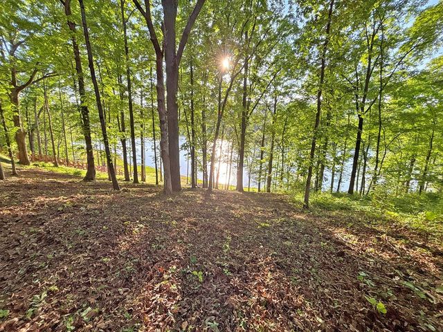 Lot 5 Walnut Drive, Blairsville, GA 30512