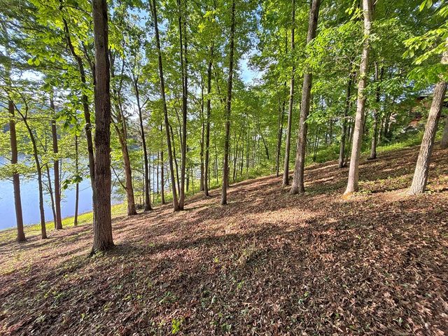 Lot 5 Walnut Drive, Blairsville, GA 30512