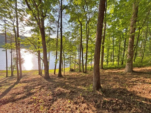 Lot 5 Walnut Drive, Blairsville, GA 30512