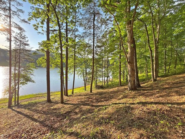 Lot 5 Walnut Drive, Blairsville, GA 30512
