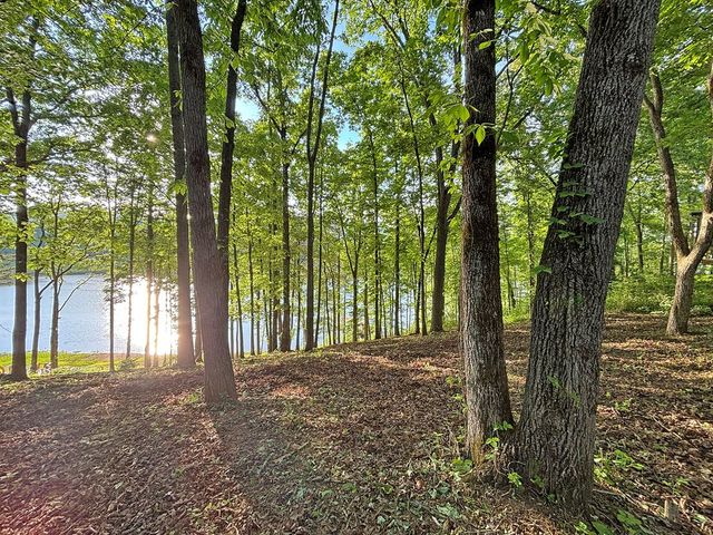 Lot 5 Walnut Drive, Blairsville, GA 30512