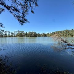 6273 Alder Creek Drive, Montgomery, TX 77316