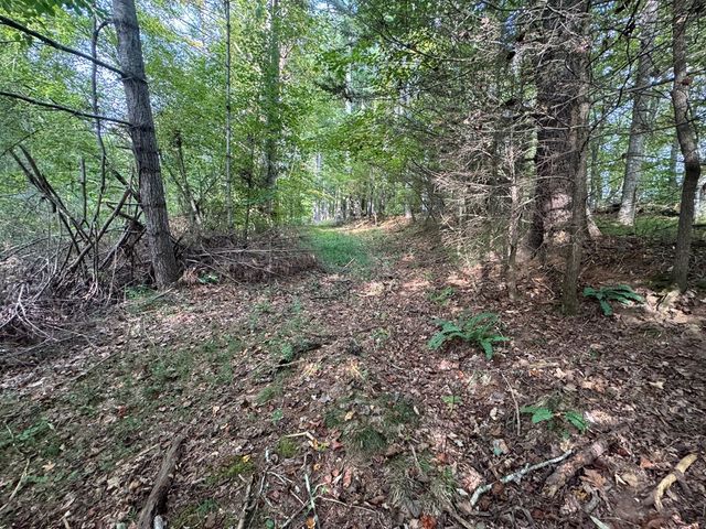 Lot 7 Double Creek Drive, Suches, GA 30572
