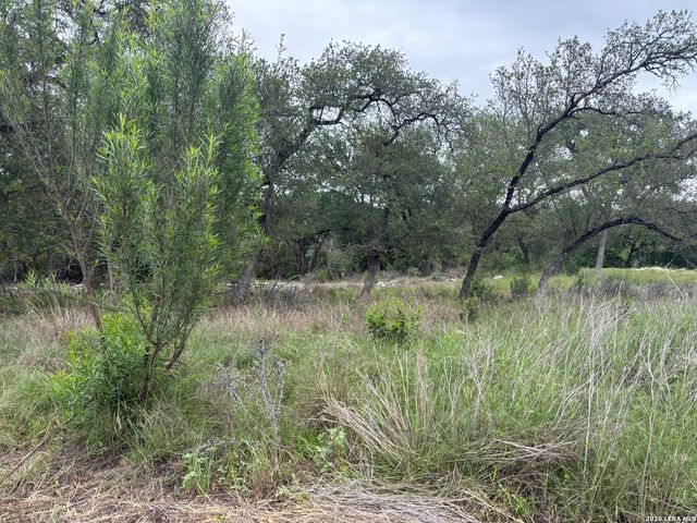 1464 STAHLMAN WAY, New Braunfels, TX 78132