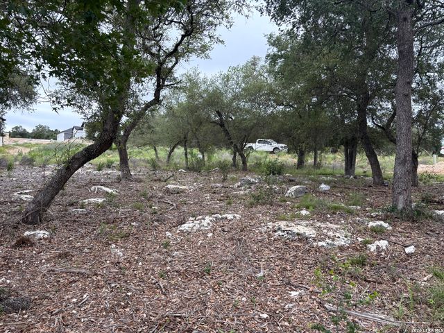 1464 STAHLMAN WAY, New Braunfels, TX 78132