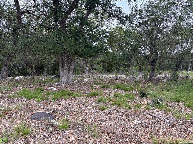 1464 STAHLMAN WAY, New Braunfels, TX 78132