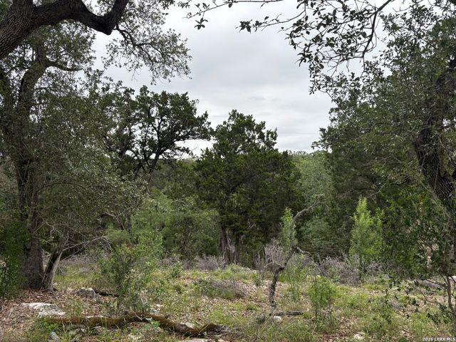 1464 STAHLMAN WAY, New Braunfels, TX 78132