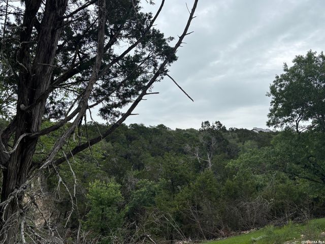 1464 STAHLMAN WAY, New Braunfels, TX 78132