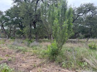 1464 STAHLMAN WAY, New Braunfels, TX 78132