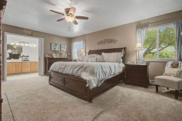 411 Poplar Drive, Fruita, CO 81521