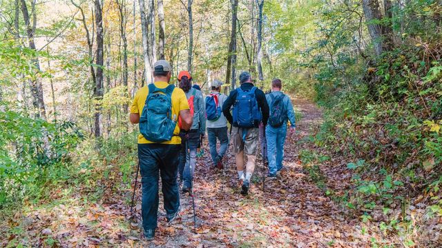 110 Saddle Notch Lane B4, Tuckasegee, NC 28783