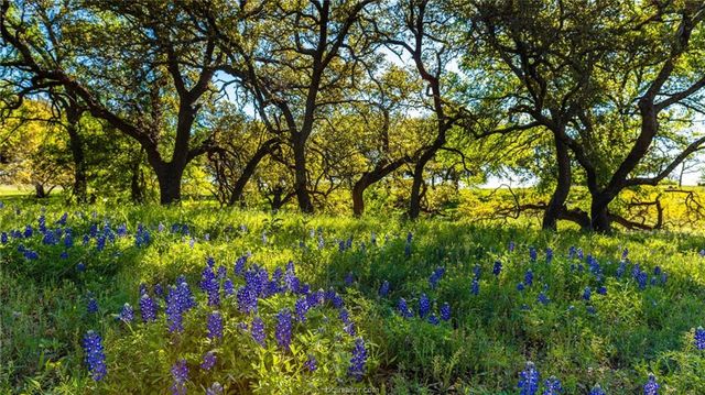 6377 Scenic View Trail, Bryan, TX 77808