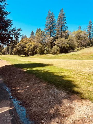 633 FOREST MEADOWS DRIVE, Murphys, CA 95247