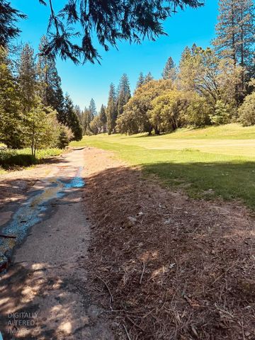 633 FOREST MEADOWS DRIVE, Murphys, CA 95247