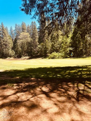 633 FOREST MEADOWS DRIVE, Murphys, CA 95247