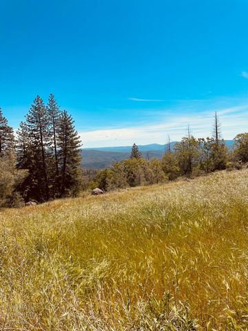 633 FOREST MEADOWS DRIVE, Murphys, CA 95247