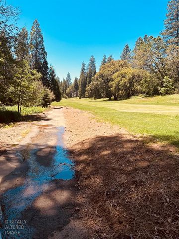 633 FOREST MEADOWS DRIVE, Murphys, CA 95247