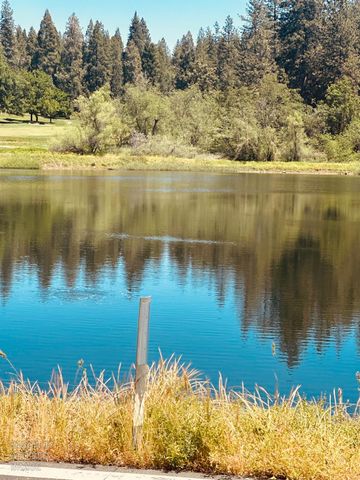633 FOREST MEADOWS DRIVE, Murphys, CA 95247