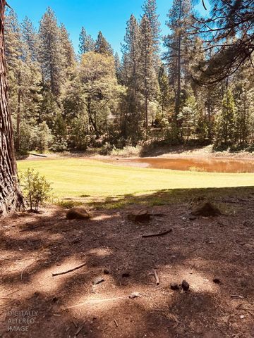 633 FOREST MEADOWS DRIVE, Murphys, CA 95247