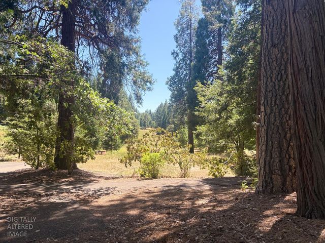 633 FOREST MEADOWS DRIVE, Murphys, CA 95247