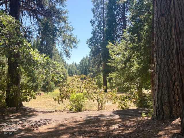 633 FOREST MEADOWS DRIVE, Murphys, CA 95247