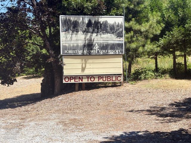 633 FOREST MEADOWS DRIVE, Murphys, CA 95247