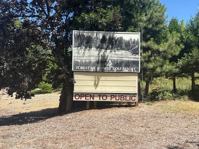 633 FOREST MEADOWS DRIVE, Murphys, CA 95247