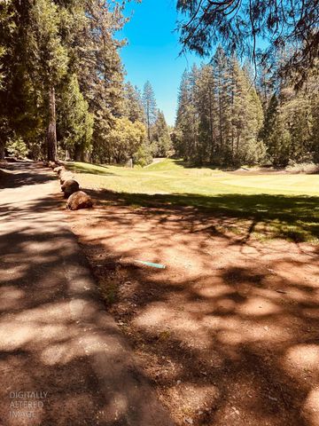 633 FOREST MEADOWS DRIVE, Murphys, CA 95247