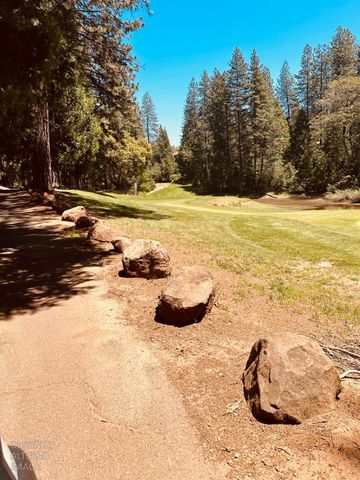 633 FOREST MEADOWS DRIVE, Murphys, CA 95247