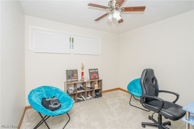 375 Sleepy Hollow Drive, Canfield, OH 44406