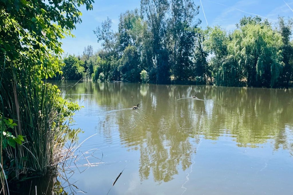 Image 64 of property listing at 8155 N Fowler Avenue, Clovis, CA 93619