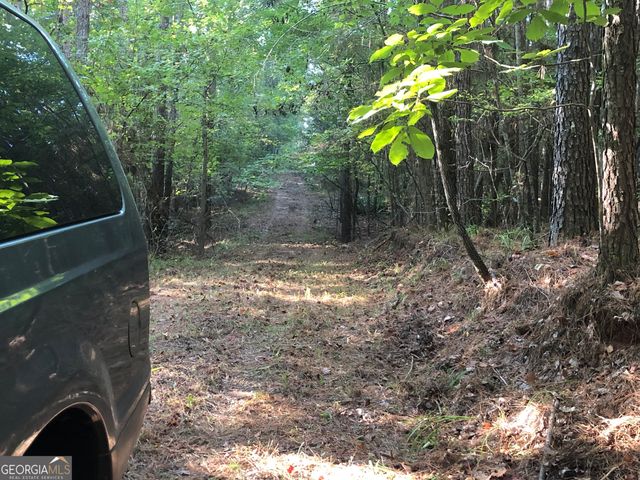 LOT 10 Triune Mill Road, Thomaston, GA 30286