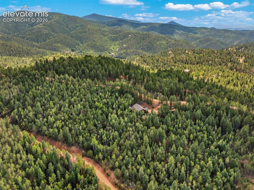 117 Fluorite Lane, Divide, CO 80814 — photo 4