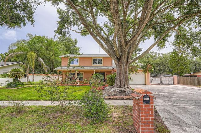 15508 WETSTONE DRIVE, Tampa, FL 33613