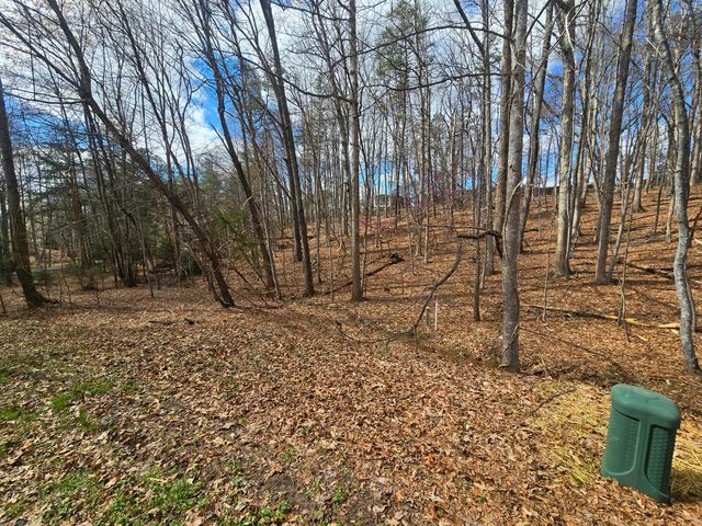 300 Crawford DR, Moneta, VA 24121