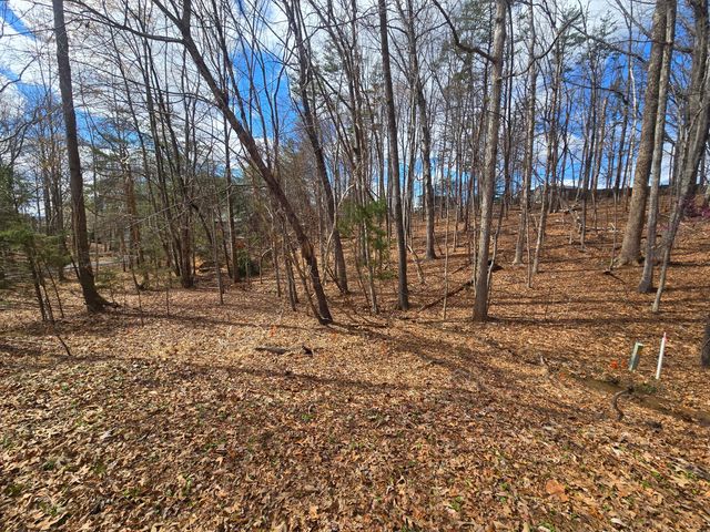 300 Crawford DR, Moneta, VA 24121