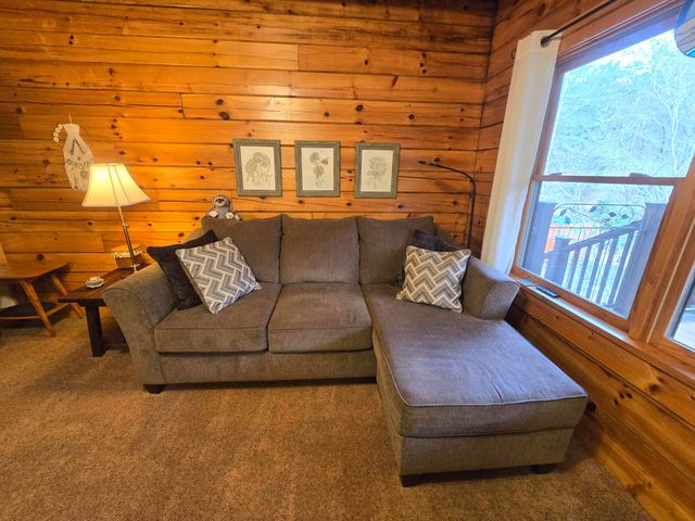 300 Crawford DR, Moneta, VA 24121