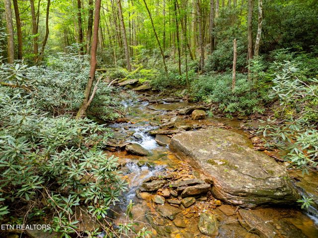 1854 Catoosa Rd, Wartburg, TN 37887