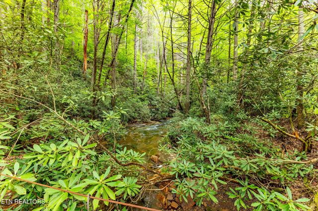 1854 Catoosa Rd, Wartburg, TN 37887