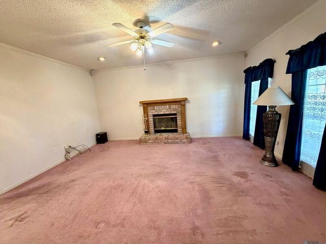 14189 Troy Duplessis Rd, Gonzales, LA 70737