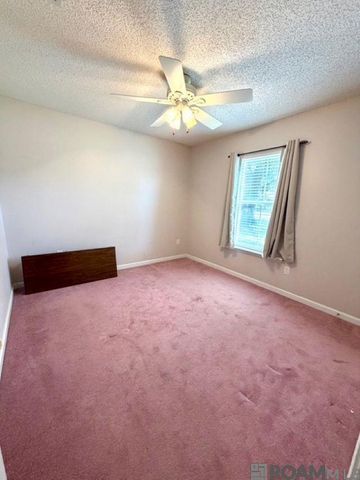 14189 Troy Duplessis Rd, Gonzales, LA 70737