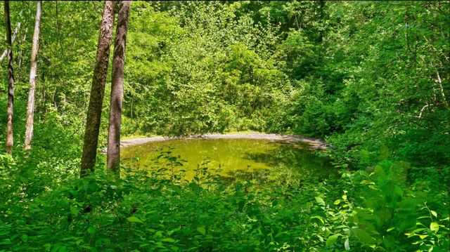 2431 Free State Rd, Gainesboro, TN 38562