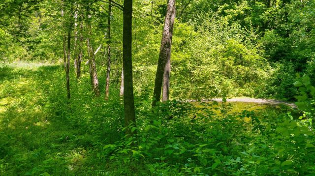 2431 Free State Rd, Gainesboro, TN 38562