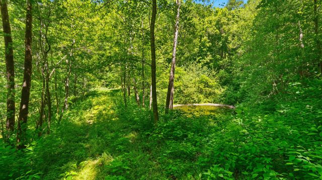 2431 Free State Rd, Gainesboro, TN 38562