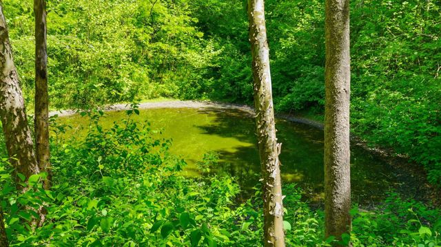2431 Free State Rd, Gainesboro, TN 38562